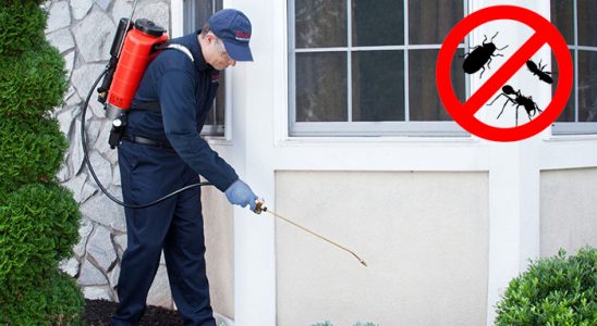 Eynesil Gümüşkurt İlaçlama böcek ilaçlama ve haşere kontrolü — ilaclama-tr.com